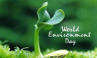 World Environment Day Quotes