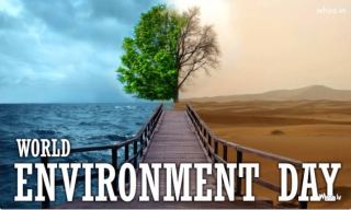 World Environment Day Quotes