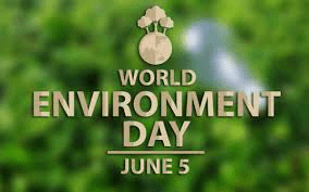 World Environment Day Quotes